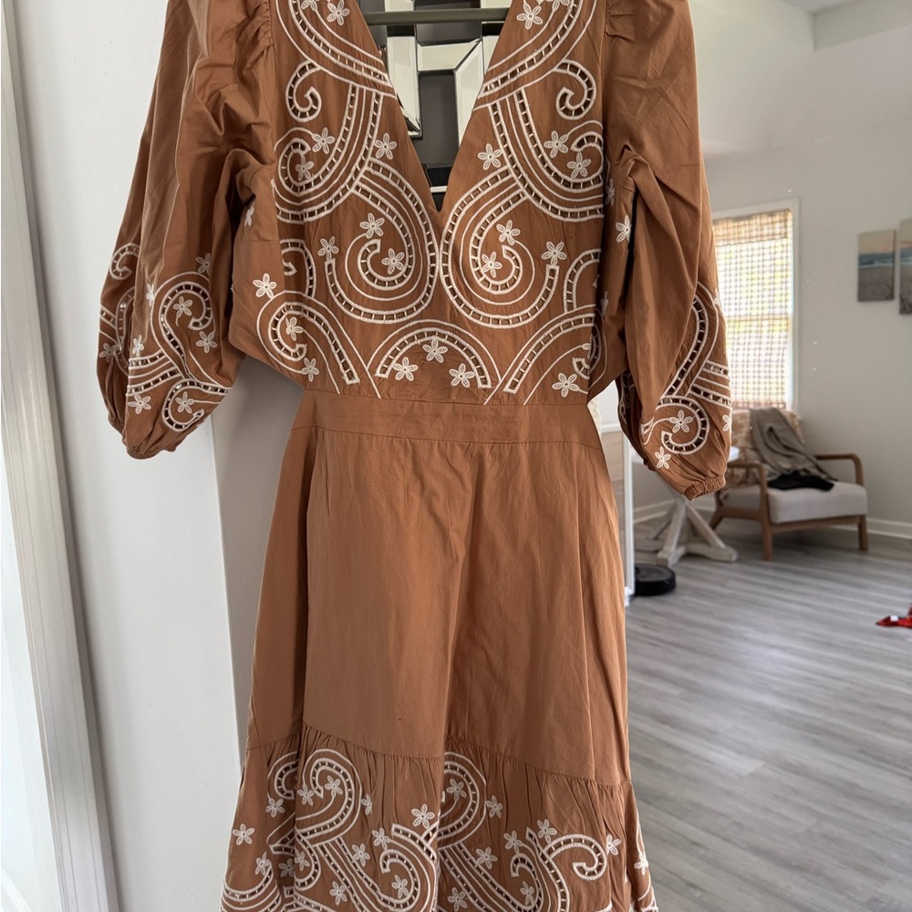 Elegant Brown Embroidered Dress